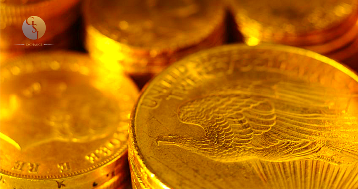 5 Essential Facts Before you Invest in Gold Coins