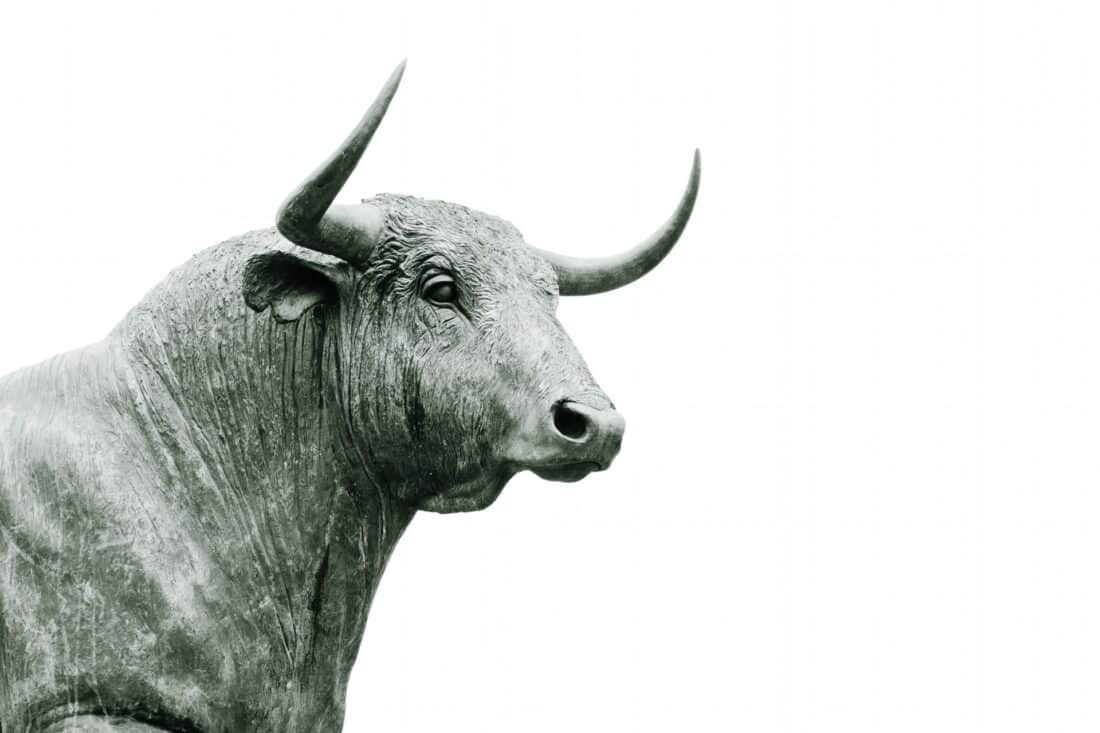 Silver Bull