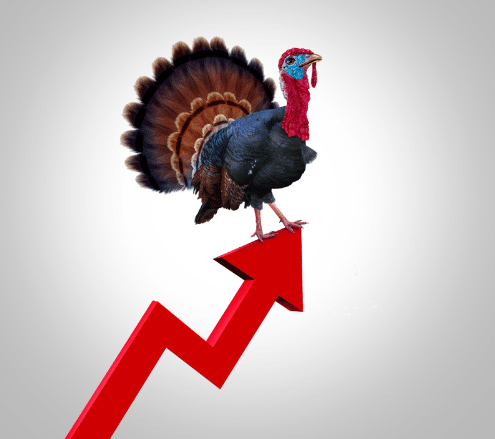 Rising cost of Thanksgiving