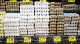 Egg Price Hoax