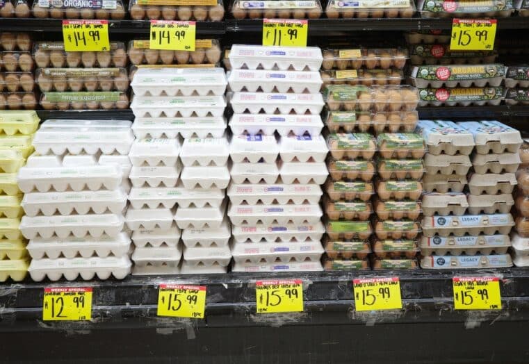 Egg Price Hoax