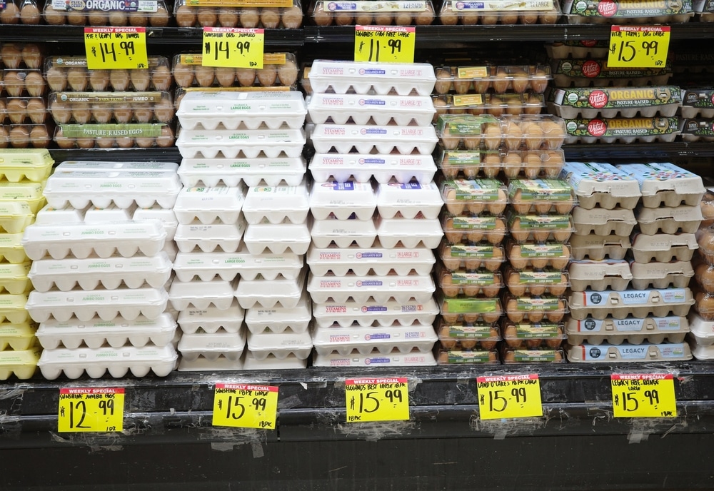 Egg Price Hoax
