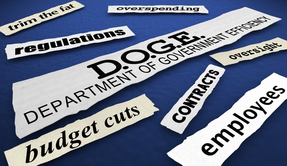 Government Efficiency Costs Billions