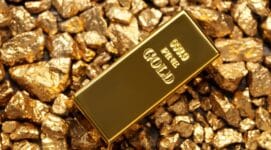 Pentagon Buys Rare Earths