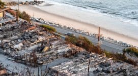 Pacific Palisades wildfire aftermath