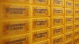 government cheese disaster explainer