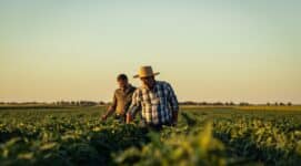 Trump Farm Bailout Cronyism