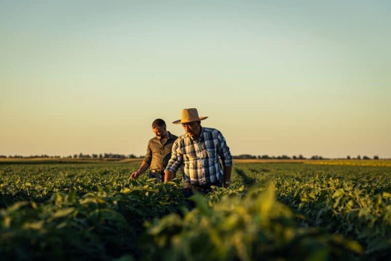 Trump Farm Bailout Cronyism