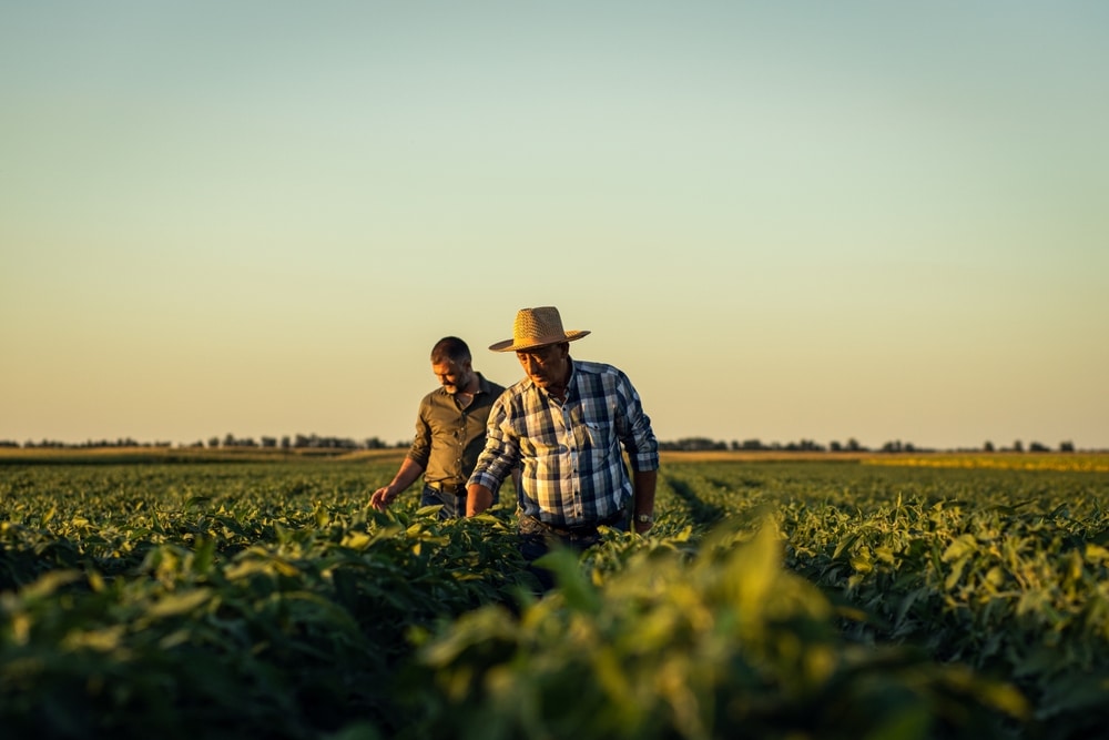 Trump Farm Bailout Cronyism