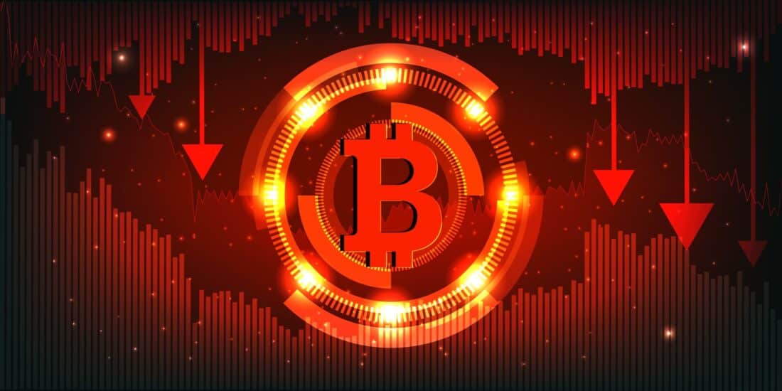 shutterstock_2428138553