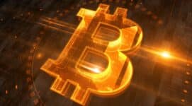 Bitcoin macro asset transition