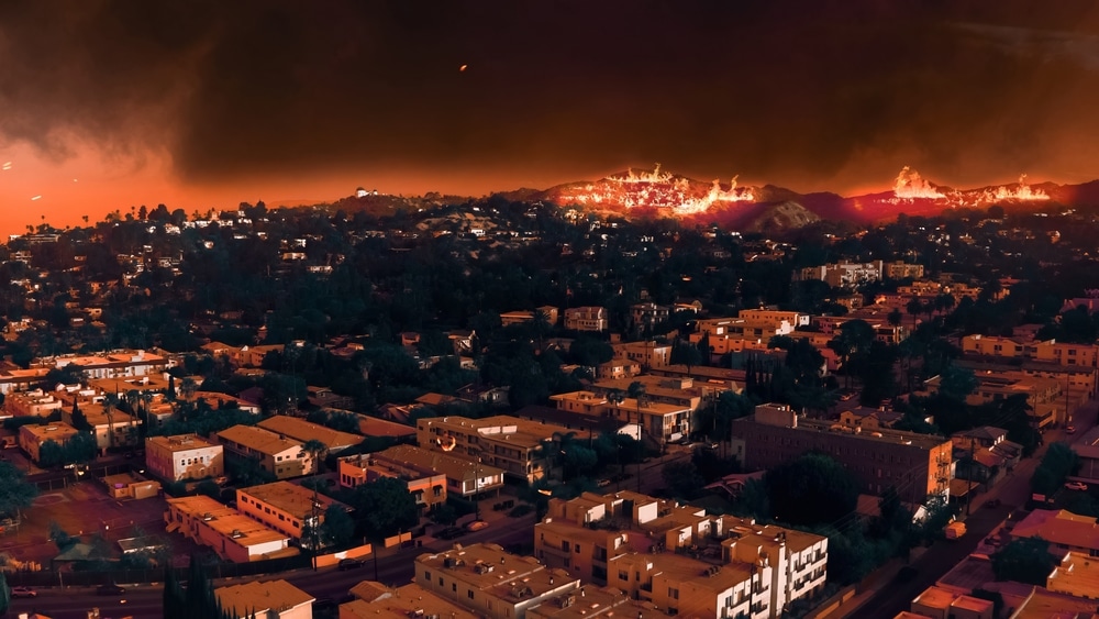 California wildfire government failure