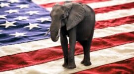 Republican Party status quo