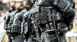 Demographic Control Through Immigration