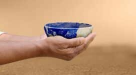 global food shortage warning