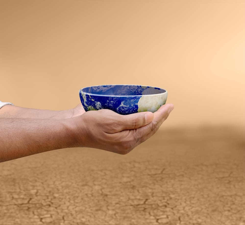 global food shortage warning