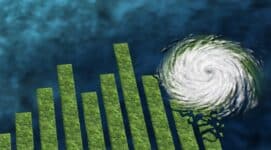 Digital Dollar Financial Surveillance