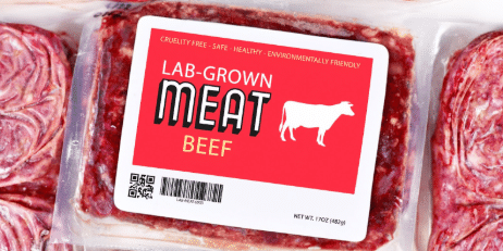 America Fights Back States Ban Bill Gates Fake Lab-Grown Meat