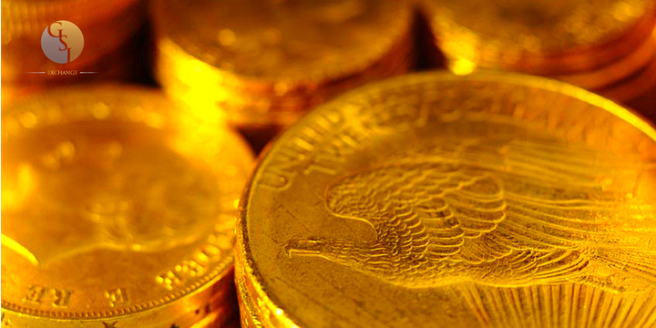 5 Essential Facts Before you Invest in Gold Coins