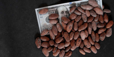 Hersheys Sweet Panic Why The Chocolate Giant Wants to Hoard Cocoa