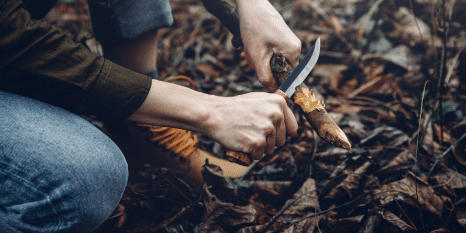 Surviving the Collapse 24 Things You Need Before Its Too Late