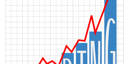 Government efficiency reform challenges