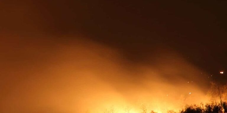 fires in food processing facilities government fire