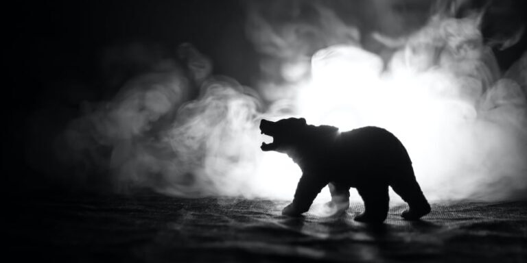 stocks bear market