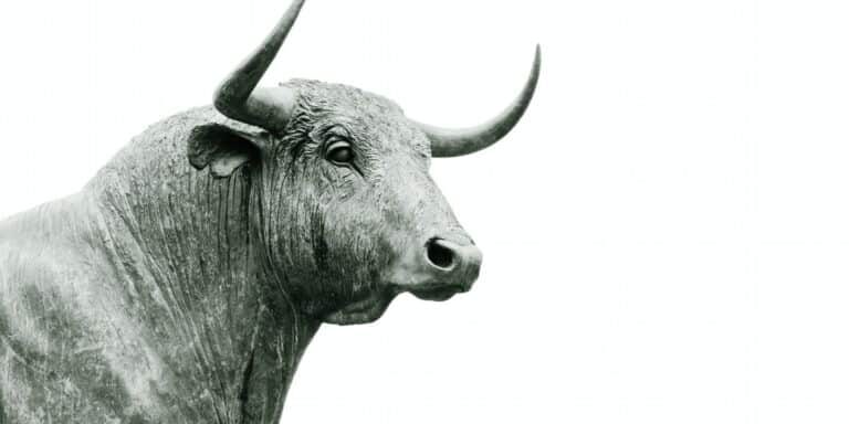 Silver Bull