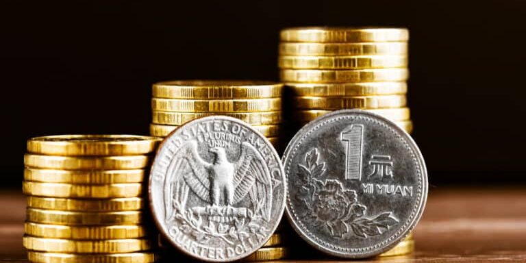 BRICS Currency