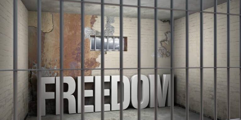 mass formation totalitarianism