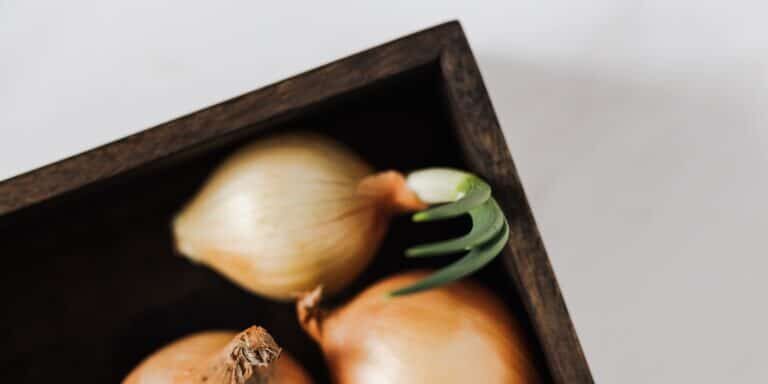economic onion