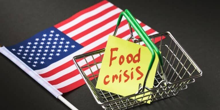 American,Flag,And,Note,With,Text,In,Empty,Food,Basket Markets on Life Support