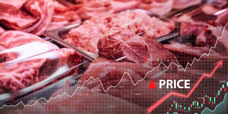 Shot,Of,Uncooked,Fresh,Meat,In,Counter,Of,Meat,Store.