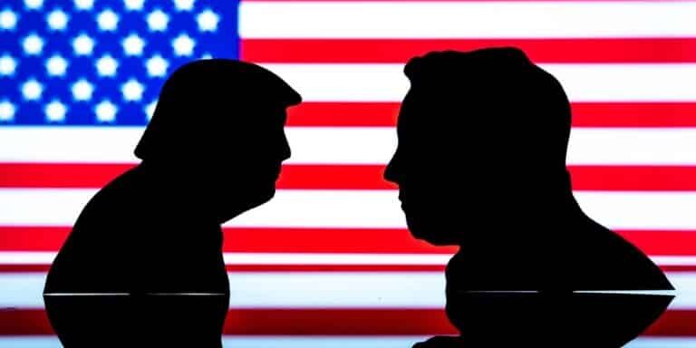 Donald,Trump,And,Elon,Musk,Silhouettes,In,Front,Of,Usa