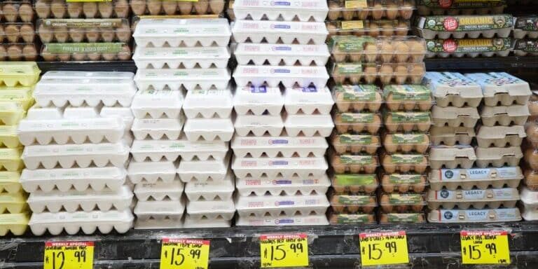 Egg Price Hoax